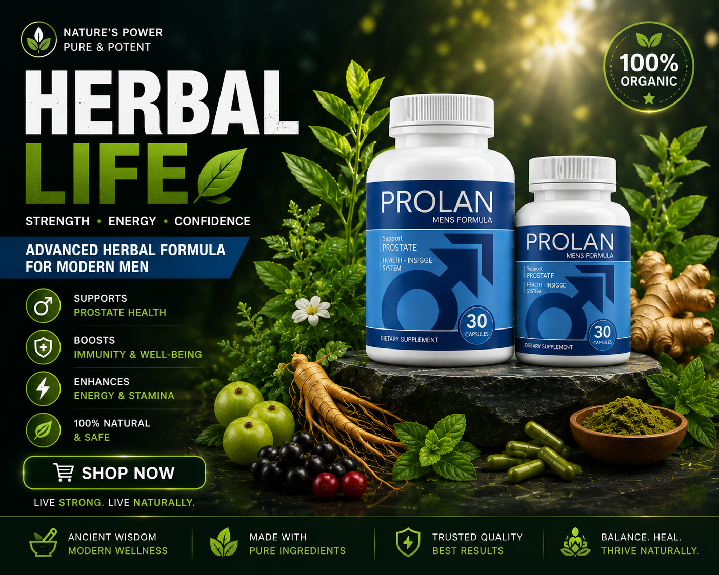 Prolan – Advanced Prostate Health & Maximum Care