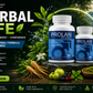 Prolan – Advanced Prostate Health & Maximum Care