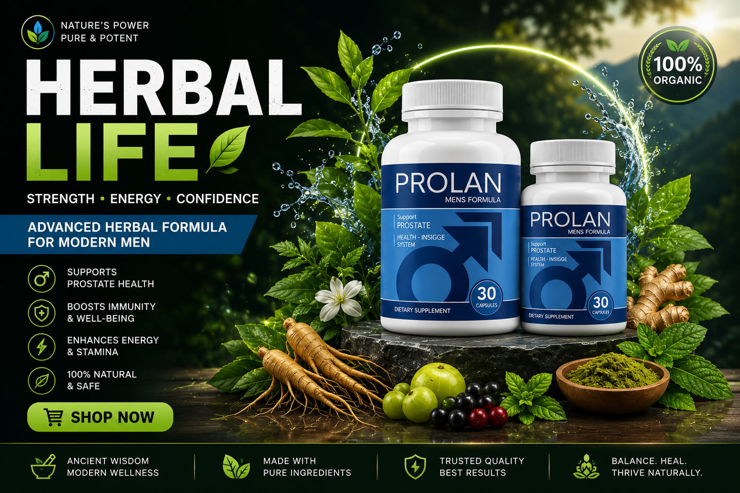 Prolan – Advanced Prostate Health & Maximum Care