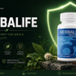Prolan – Advanced Prostate Health & Maximum Care