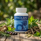 Prolan – Advanced Prostate Health & Maximum Care