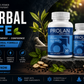 Prolan – Advanced Prostate Health & Maximum Care